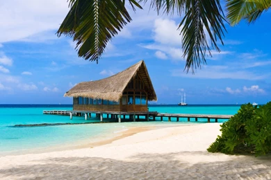 Summer beach paradise wallpaper hd 1080p – Wallpapers, Backgrounds ...