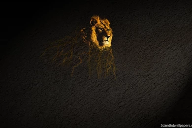 Lion Face Design HD Wallpapers   3DandHDWallpapers ...