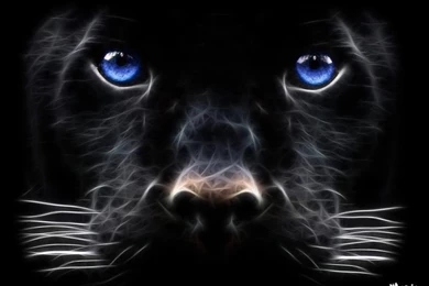 Dark Background Wallpaper 166.jpg