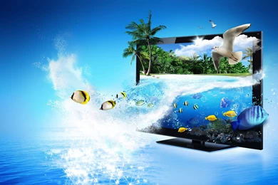 3D TV In Fish And Birds