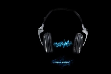 Free Wallpapers For Computers To Download: Animal By Free Download ...