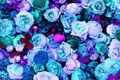 Wallpaper Backgrounds On Pinterest