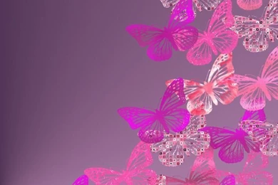 Butterflies On Pinterest