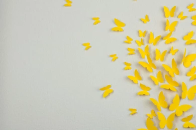 Butterfly Backgrounds HD Wallpapers