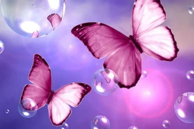 Butterfly Sweet Wallpapers JattDiSite.com
