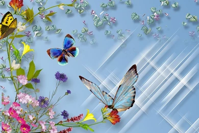 Download Flower And Butterfly Picture Wallpapers