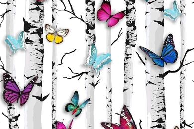 Butterflies