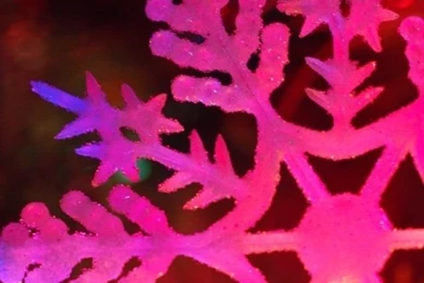 Christmas Wallpapers Iphone, Images, Pictures