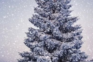 Christmas Wallpapers For Iphone 6