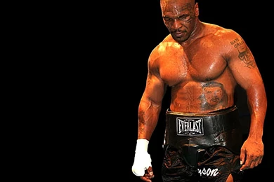 Boxing Knockout   Wallpaper.