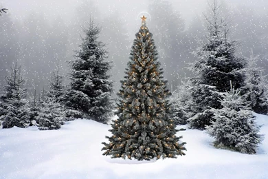 Winter Christmas Wallpapers For Iphone