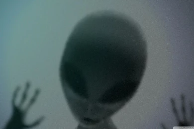 Alien Behind Glass HD Desktop Wallpapers : Widescreen : High ...
