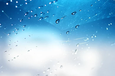 Wallpapers Sexy Monster Energy Frosted Glass The Free 2560x1600 ...