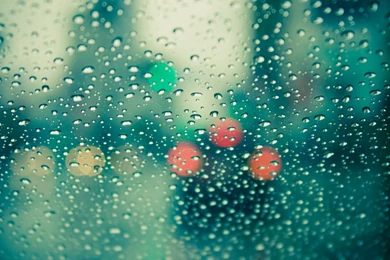 Rain Drops Wallpapers