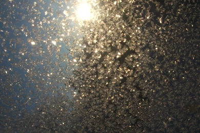 2560x1600 Frosted Glass Desktop PC And Mac Wallpapers