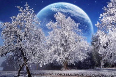 Best Wallpapers: Widescreen Wallpapers Hd Free Download