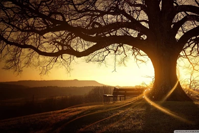 Autumn HD Wallpapers