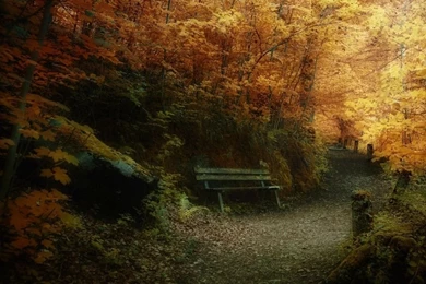 Fall HD Desktop Wallpapers : Widescreen : High Definition ...