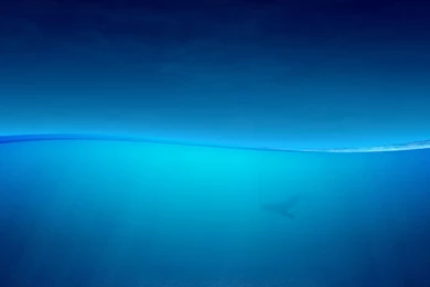 Blue Ocean