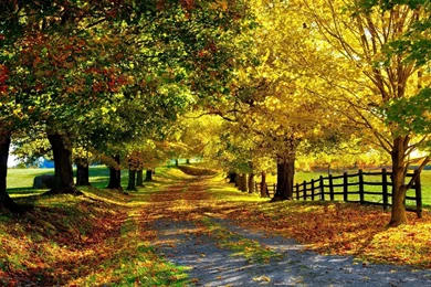 54 Autumn Season Hd Wallpapers, Hd Autumn Seasons WallpapersFree ...