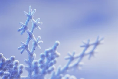 Winter Wallpapers Free Download