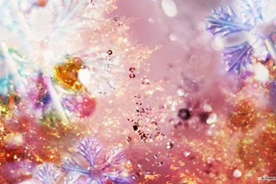 Free Wallpapers   Free Nature Wallpapers   Cg Seasons Autumn Winter ...