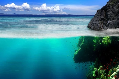 HD Candice Swanepoel Wallpapers – HdCoolWallpapers.Com