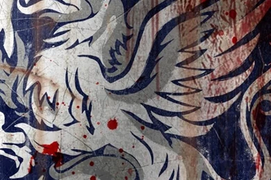 Dragon Age Origins iPhone 5 Wallpapers