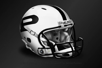 Permian Panthers Downloads