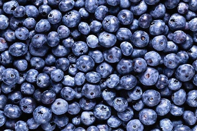 Food Wallpapers For Desktop 7 Hd Wallpapers   XDwallpaper.com