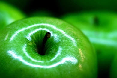 Food Macro S Wallpapers