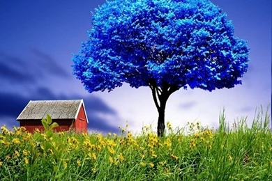 New Mobile Wallpapers   HD Wallpapers Lovely