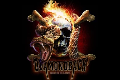 Skull Logo Wallpapers