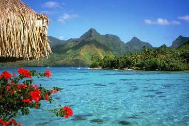 Top Bora Bora Desktop Wallpaper Images For Pinterest