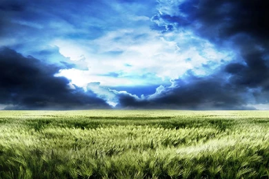 Field Storm Wallpapers   10053