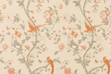 Floral Wallpapers HD Download