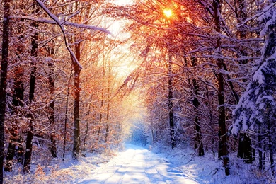 Winter Wallpapers Widescreen