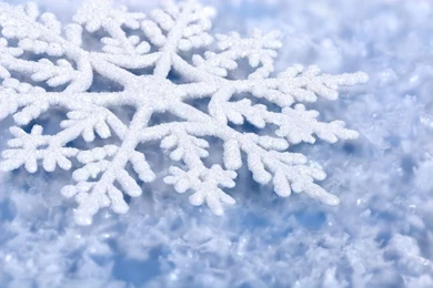 Winter Snow Flakes Winter HD Wallpapers