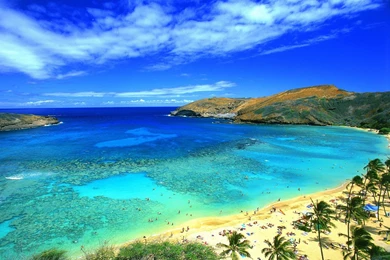 Hawaiian HD Wallpaper, Hawaiian Images Free, New Wallpapers