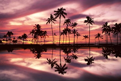 Hawaii Wallpapers » WallDevil   Best Free HD Desktop And Mobile ...