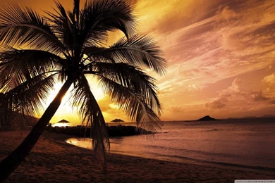 Tropical Beach Sunset HD Desktop Wallpapers : Widescreen : High ...