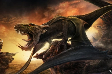 Top Dragons Wallpapers 2560x1440 Images For Pinterest