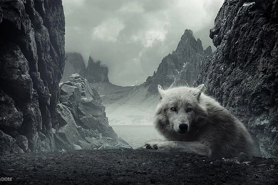 1600X900 Hd Wallpapers HD Wallpapers Pretty