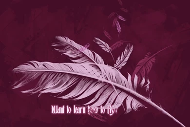 Feather Computer Wallpapers, Desktop Backgrounds