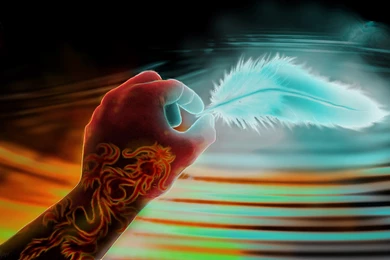 Dragon, Thebadsaint, Feather, Wallpapers (