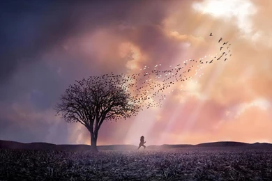 Desktop Wallpapers · Gallery · HD Notebook · Devastation Netbook ...