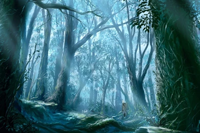Mushishi HD Wallpapers And Backgrounds