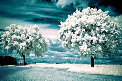 Winter Wallpapers Hd Wallpapers   10629