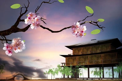 Cherry Tag Wallpapers Page 2: Japan Sakura Asia Scenery Lake ...