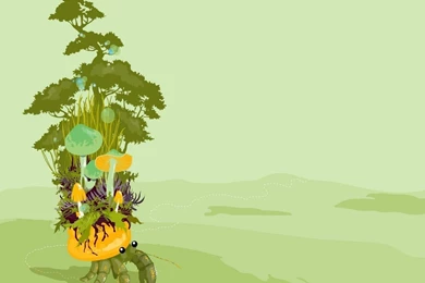 Free Wallpapers   Free Cartoon Wallpapers   Cartoon Collection 1 ...